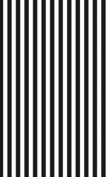 BLACK & WHITE STRIPE PAPER