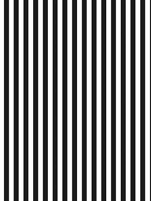 BLACK AND WHITE STRIPE PAPER
