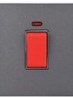 20A DP SWITCH WITH NEON