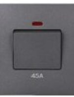 45A DP SWITCH WITH NEON - Image 2