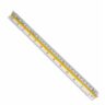 ARCHITECTURAL SCALE RULE